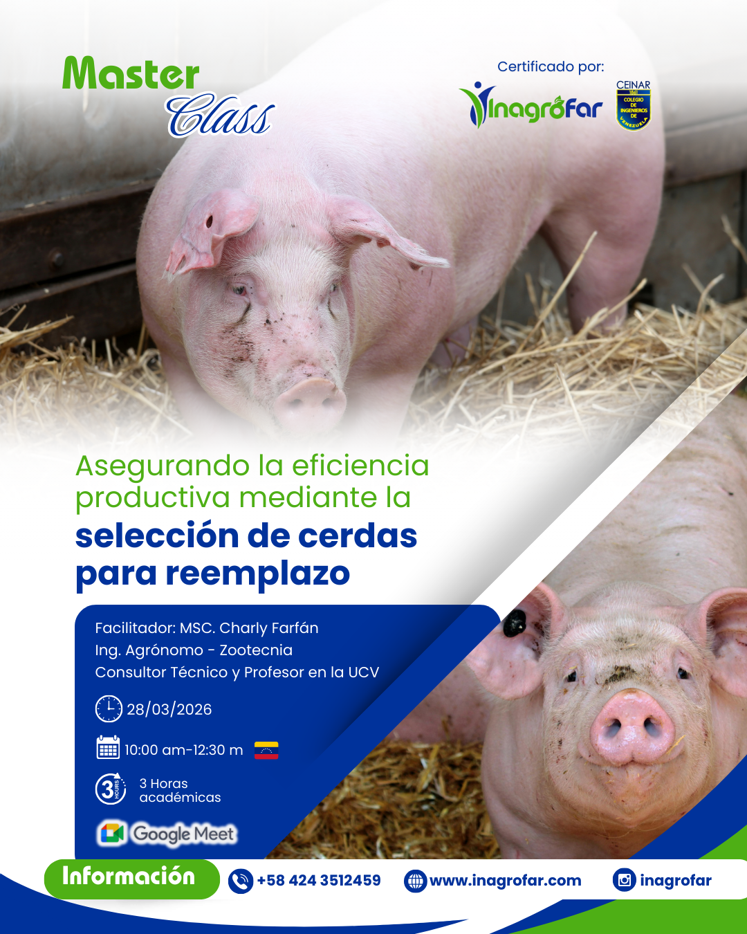 Cerdas reemplazo Master class